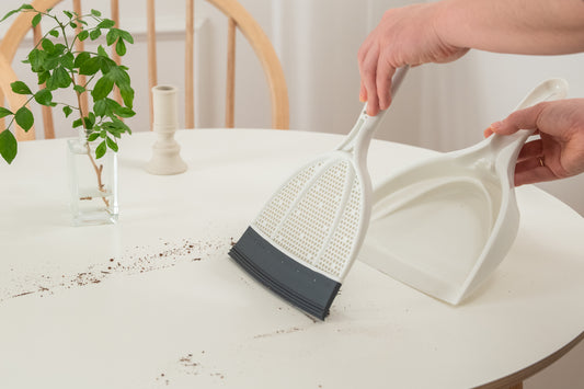 Brush & Dustpan Set